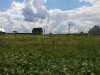 /photos/63799.jpg?w=640&h=480