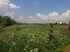 /photos/64828.jpg?w=640&h=480