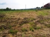 /photos/64876.jpg?w=640&h=480