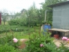 /photos/64935.jpg?w=640&h=480