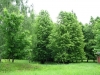 /photos/64963.jpg?w=640&h=480