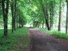 /photos/64964.jpg?w=640&h=480