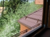 /photos/65113.jpg?w=640&h=480