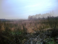 /photos/65448.jpg?w=640&h=480