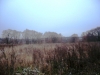 /photos/65450.jpg?w=640&h=480