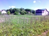 /photos/65631.jpg?w=640&h=480