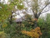 /photos/66013.jpg?w=640&h=480