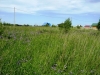 /photos/66530.jpg?w=640&h=480