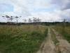 /photos/66705.jpg?w=640&h=480