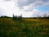 /photos/66706.jpg?w=640&h=480