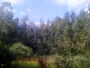 /photos/66886.jpg?w=640&h=480