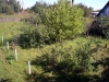 /photos/66976.jpg?w=640&h=480