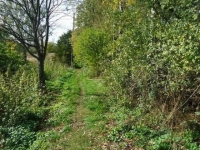 /photos/67089.jpg?w=640&h=480