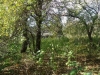 /photos/67090.jpg?w=640&h=480