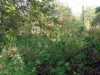 /photos/67091.jpg?w=640&h=480