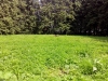 /photos/67300.jpg?w=640&h=480