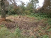 /photos/67312.jpg?w=640&h=480