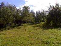 /photos/6782.jpg?w=640&h=480