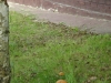 /photos/7006.jpg?w=640&h=480
