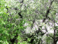 /photos/70154.jpg?w=640&h=480