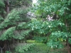/photos/72045.jpg?w=640&h=480