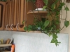/photos/73530.jpg?w=640&h=480