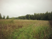 /photos/74277.jpg?w=640&h=480