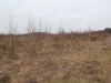 /photos/74279.jpg?w=640&h=480