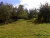 /photos/7436.jpg?w=640&h=480