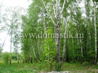 /photos/75702.jpg?w=640&h=480