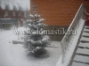 /photos/7706.jpg?w=640&h=480