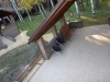 /photos/77165.jpg?w=640&h=480
