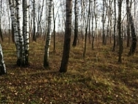 /photos/77167.jpg?w=640&h=480