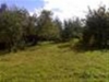 /photos/7836.jpg?w=640&h=480