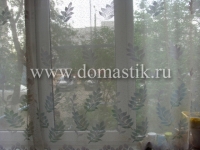 /photos/79744.jpg?w=640&h=480