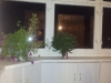 /photos/79772.jpg?w=640&h=480