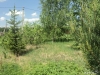 /photos/80258.jpg?w=640&h=480