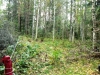 /photos/80563.jpg?w=640&h=480