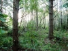 /photos/80567.jpg?w=640&h=480