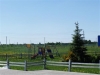 /photos/80597.jpg?w=640&h=480