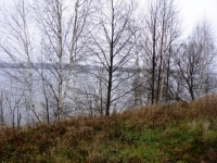 /photos/80620.jpg?w=640&h=480