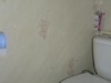 /photos/80653.jpg?w=640&h=480
