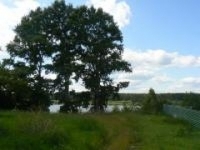 /photos/80683.jpg?w=640&h=480
