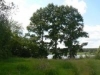 /photos/80691.jpg?w=640&h=480
