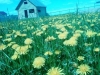 /photos/80708.jpg?w=640&h=480