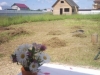 /photos/80709.jpg?w=640&h=480