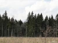 /photos/8088.jpg?w=640&h=480