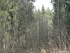 /photos/8089.jpg?w=640&h=480