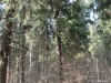 /photos/8090.jpg?w=640&h=480