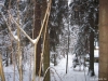 /photos/8098.jpg?w=640&h=480